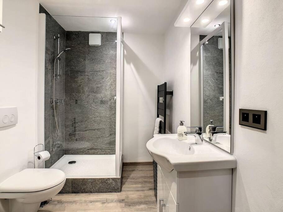 Apartament Mont Alt, F2 40M2 En Rdc, Calme, Vue Mt Blanc Passy  Zewnętrze zdjęcie