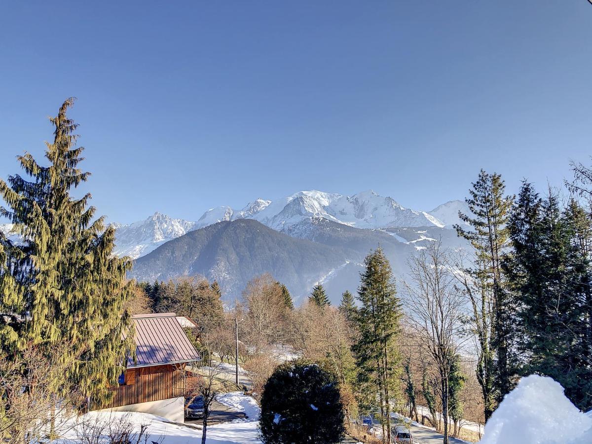 Apartament Mont Alt, F2 40M2 En Rdc, Calme, Vue Mt Blanc Passy  Zewnętrze zdjęcie